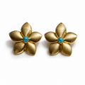 Aretes (Copia) (Copia) (Copia) (Copia) (Copia) (Copia)